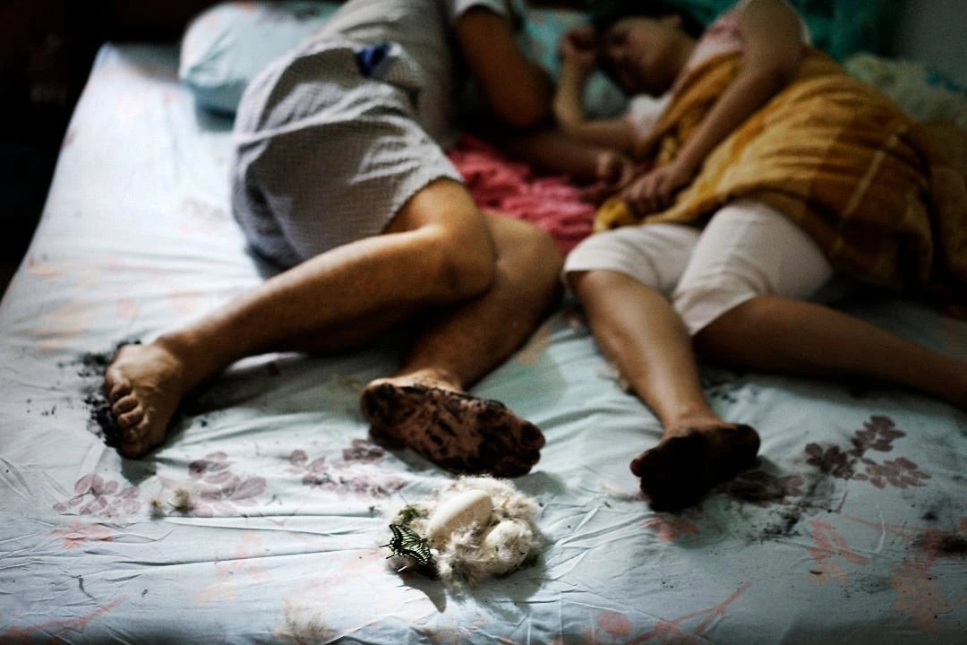 廖克發，《羽》，2017，VR360，彩色，6分。©高雄電影節-圖片